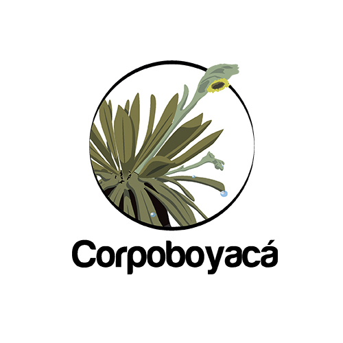Corpoboyacá - Corporación Autónoma Regional de Boyacá image