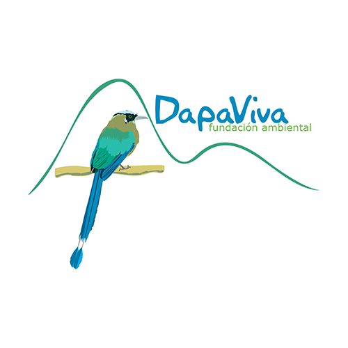 Fundación Ambiental DapaViva image