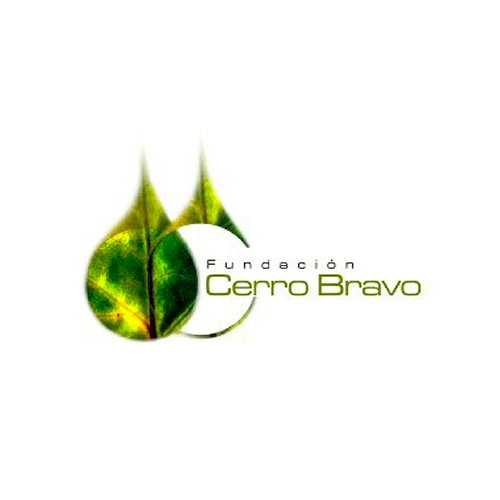 Fundación Cerro Bravo image