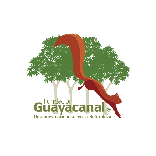 Fundación Estación Biológica Guayacanal image