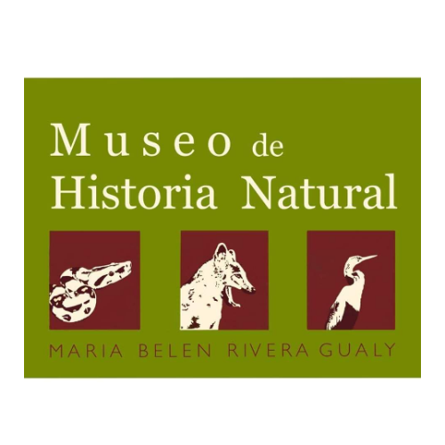 Corporación Museo de Historia Natural María Belén Rivera Gualy image