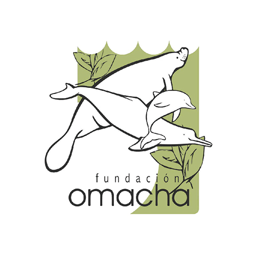 Fundación Omacha image