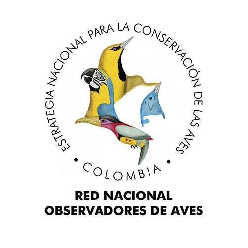 Red Nacional de Observadores de Aves (RNOA) image
