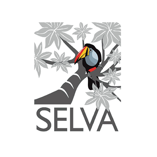 Asociación SELVA: Investigación para la Conservación en el Neotrópico image