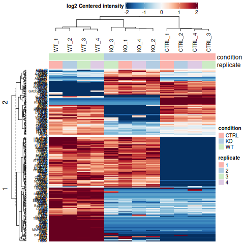 Heatmap significant proteins