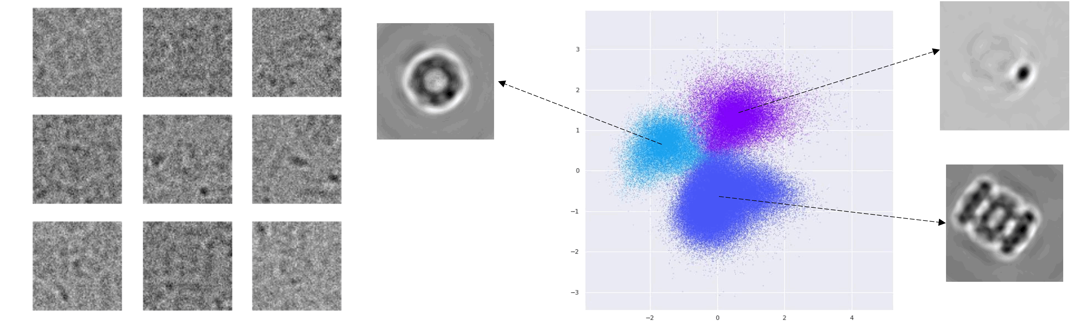 protein heterogeneity identified by TARGET-VAE