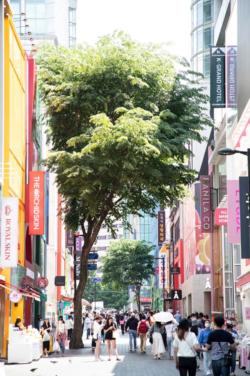 Myeongdong's cosmetics street in Seoul, Missha and All Mask Story signs under a street tree, where all three of these serums sit on shelves (명동거리) — ⓒ한국관광공사 포토코리아-이범수 (Korea Tourism Organization, KOGL Type 1)