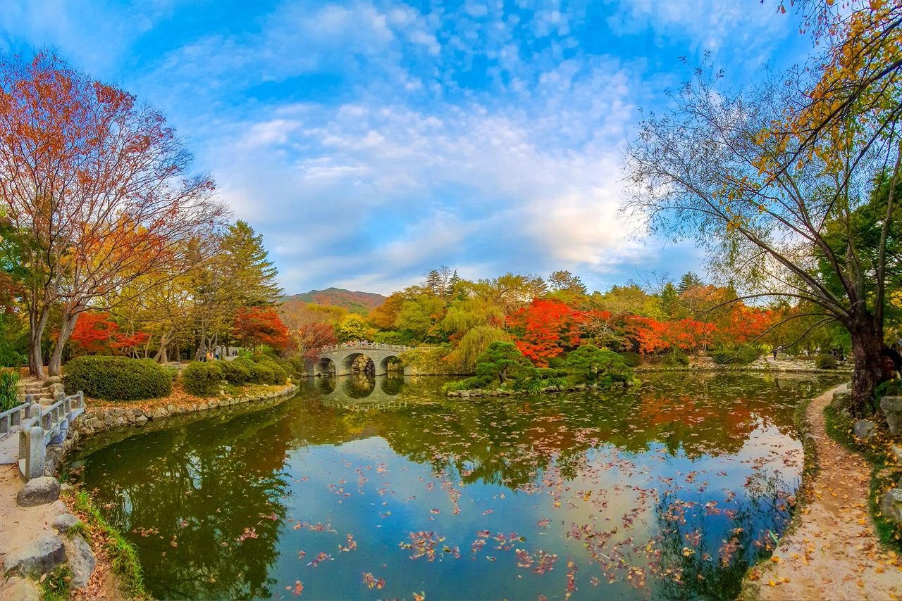 Red and gold autumn foliage around a still pond and stone bridge under a clear blue sky in Gyeongju — ⓒ한국관광공사 포토코리아-신경희 (Korea Tourism Organization, KOGL Type 1)