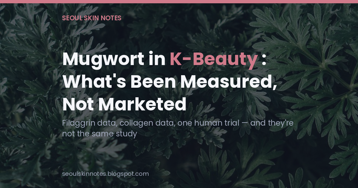 Mugwort in K-Beauty title card for Seoul Skin Notes, over a photo of mugwort leaves