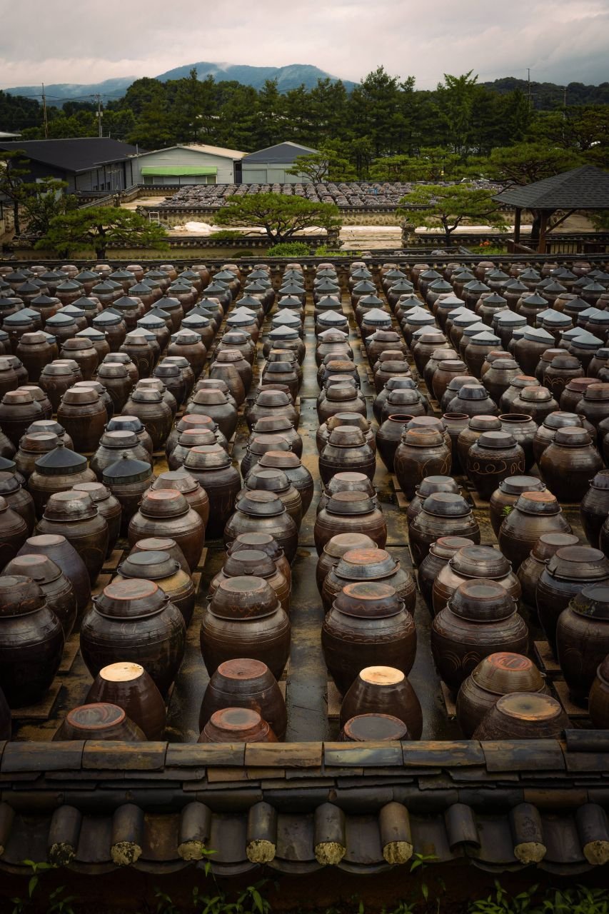 Rows of onggi fermentation jars on a traditional terrace at a jang farm in Anseong, where doenjang and gochujang age — ⓒ한국관광공사 포토코리아-이지민 (Korea Tourism Organization, KOGL Type 1)