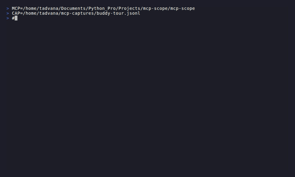 mcp-scope demo