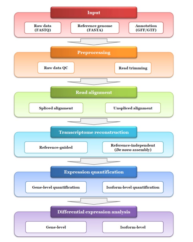 Typical workflow for RNA sequencing data analysis (Yang & Kim 2015)