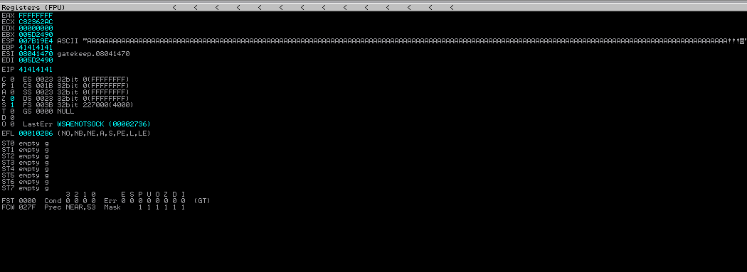 fuzzing-register41-2