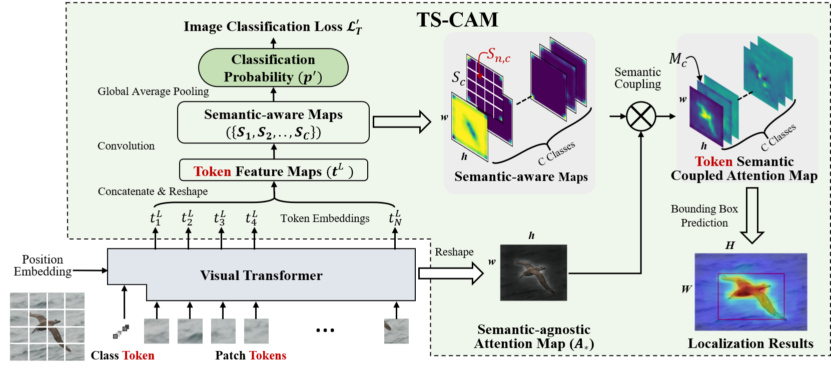 ts-cam