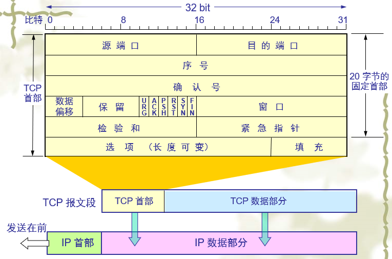 TCP报文段格式