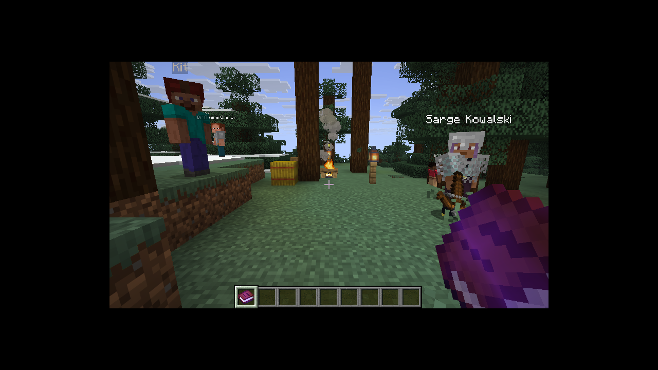 The camp near spawn: five people, a fire, and the marks over the ones with work for you