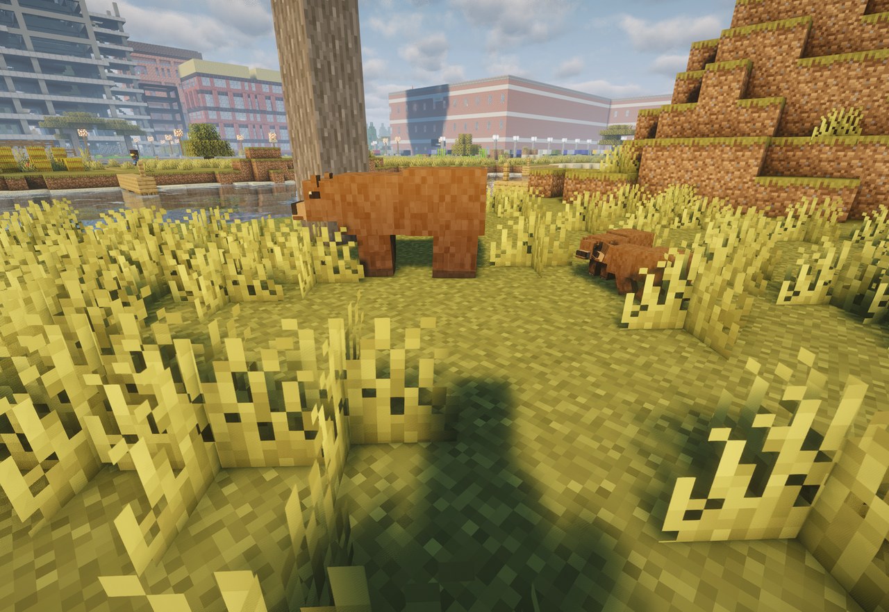 A brown bear and its cub in savanna grass at the edge of a city