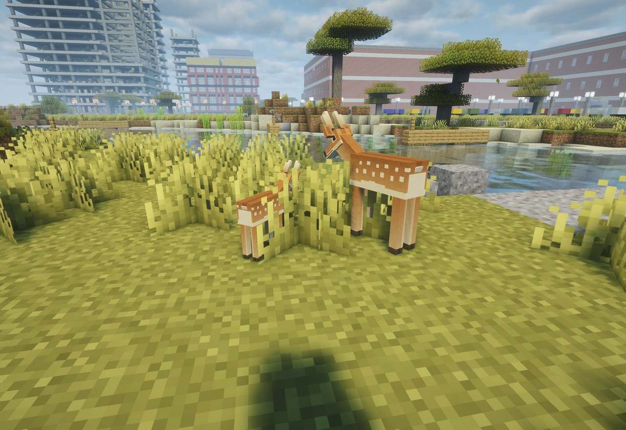 A doe and her fawn in long grass, a city across the water