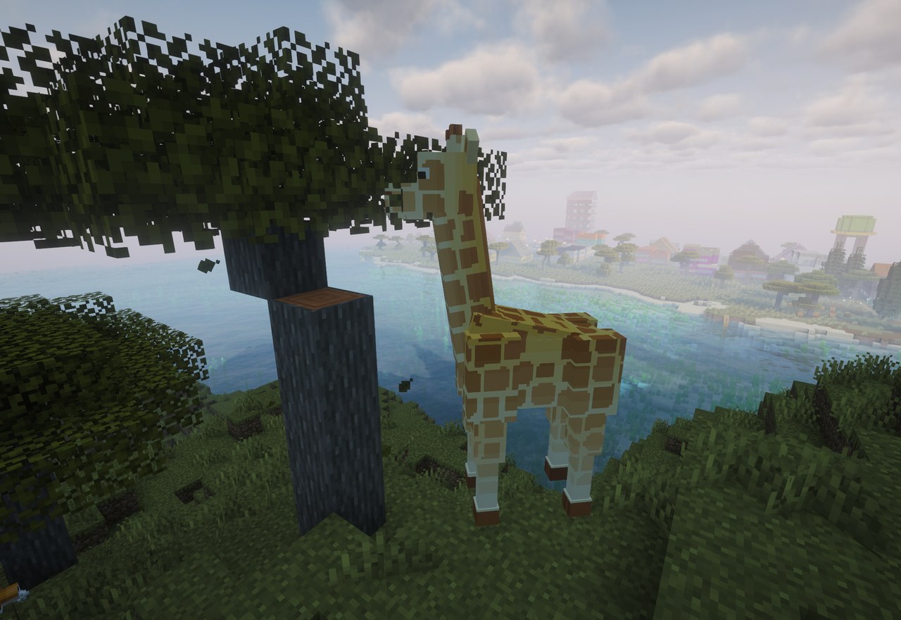 A giraffe with its muzzle in an acacia canopy, the sea and a town below