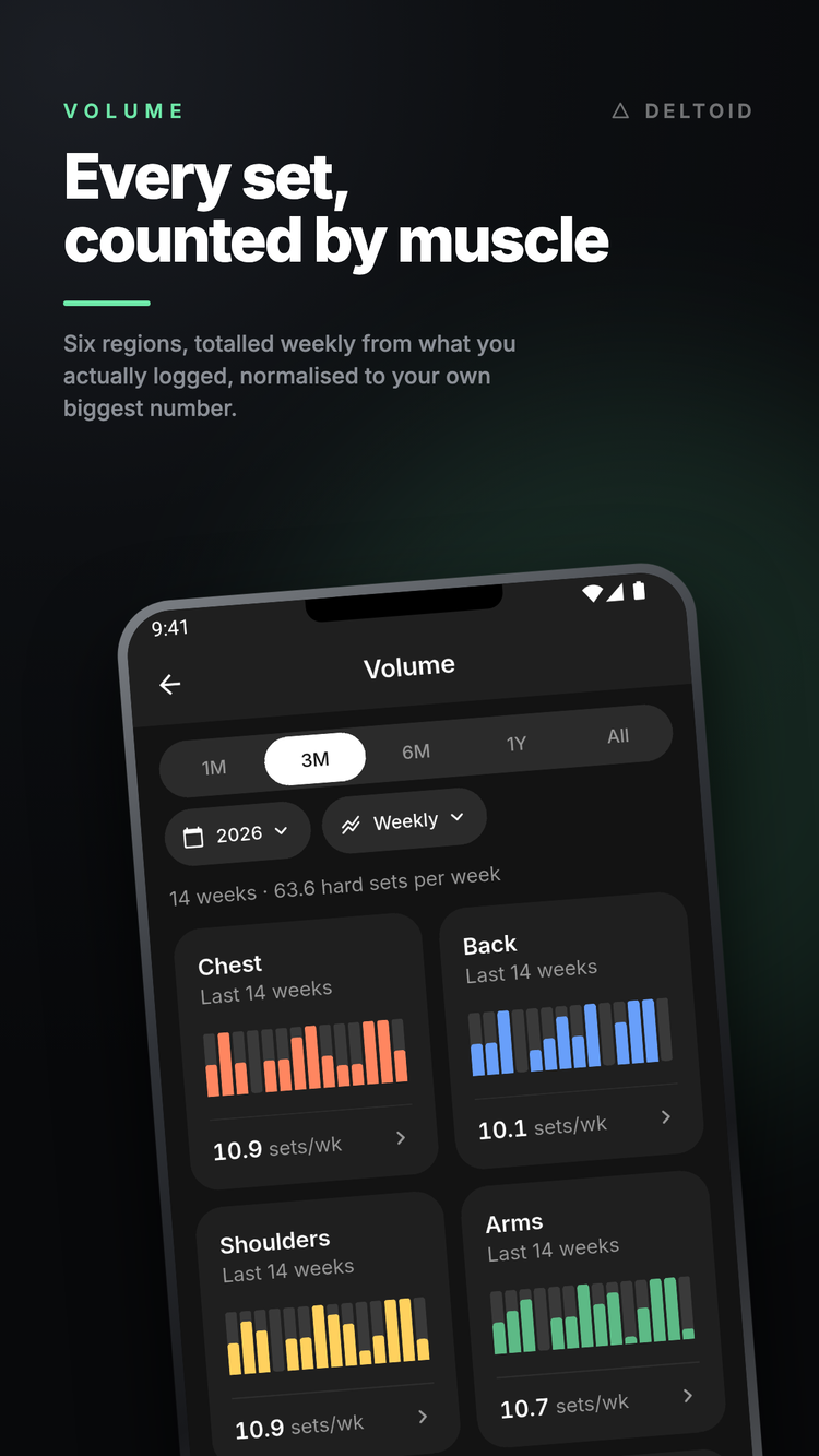 Volume: every set, counted by muscle