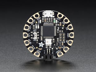 Adafruit Flora