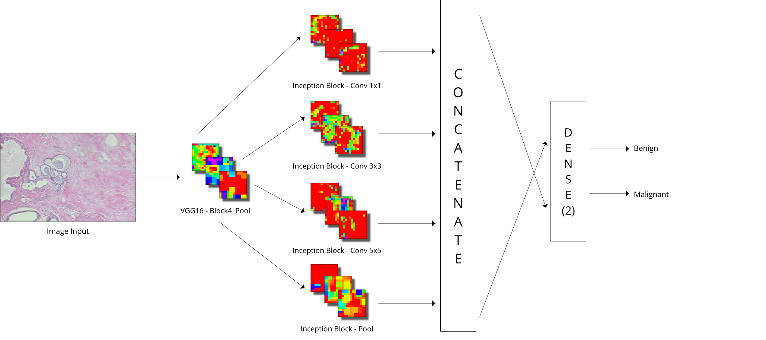 vggin-graphical-abstract