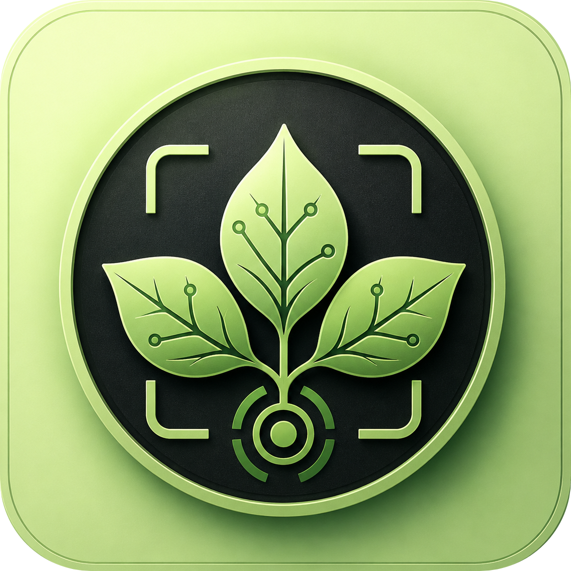 Poison Ivy Detection