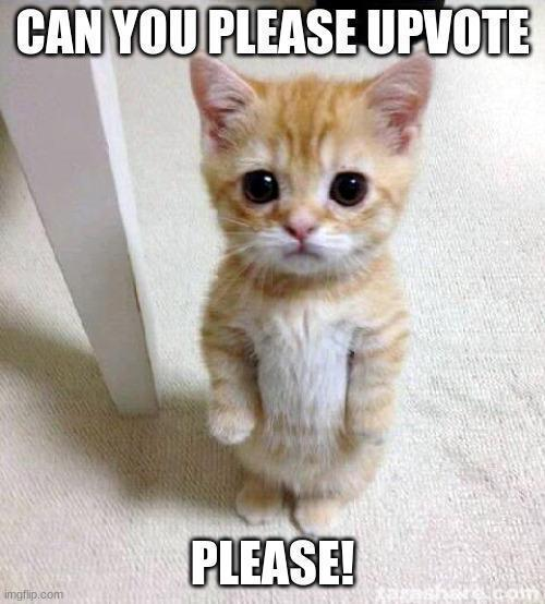 Can you please upvote !!