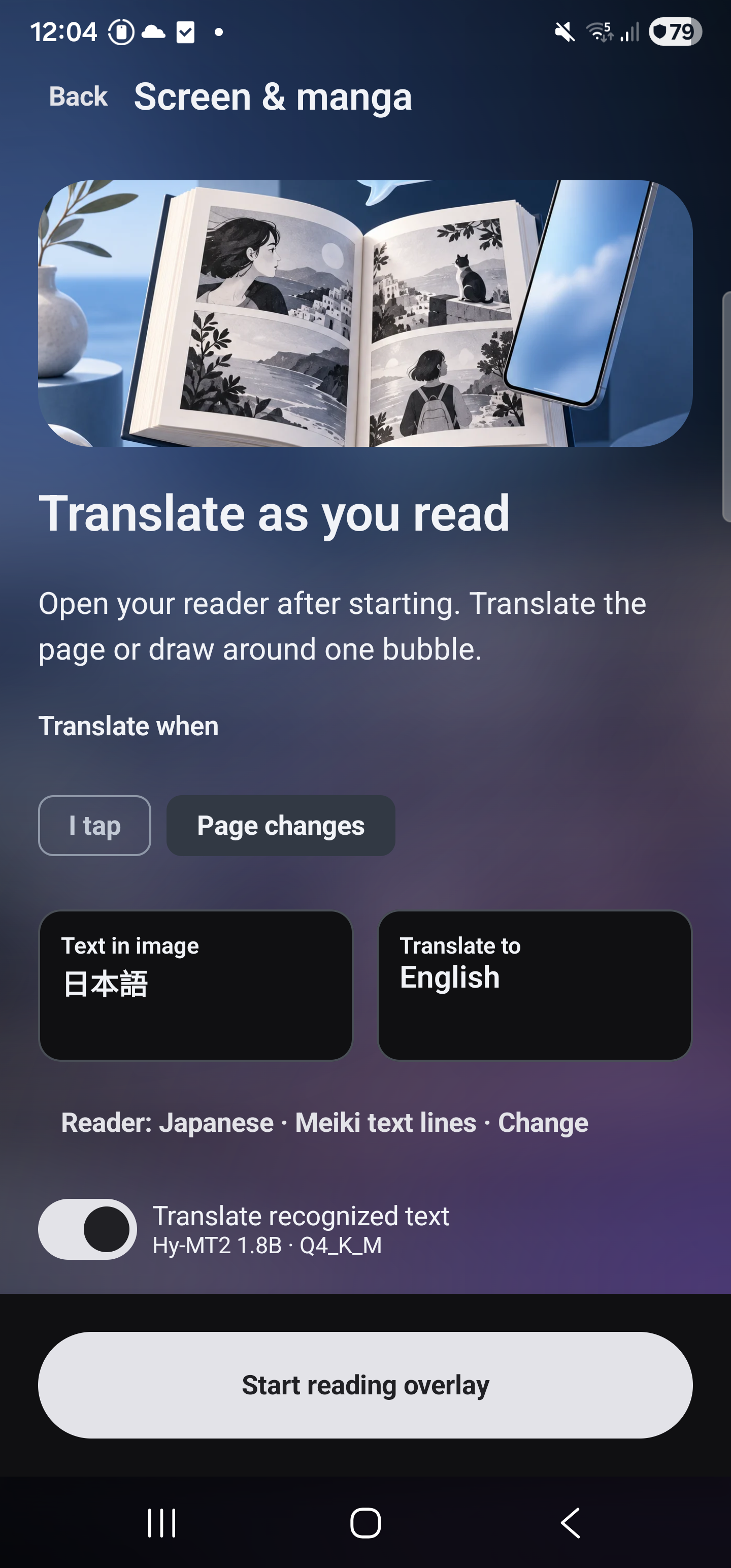 Screen translation setup with manual and page-change controls