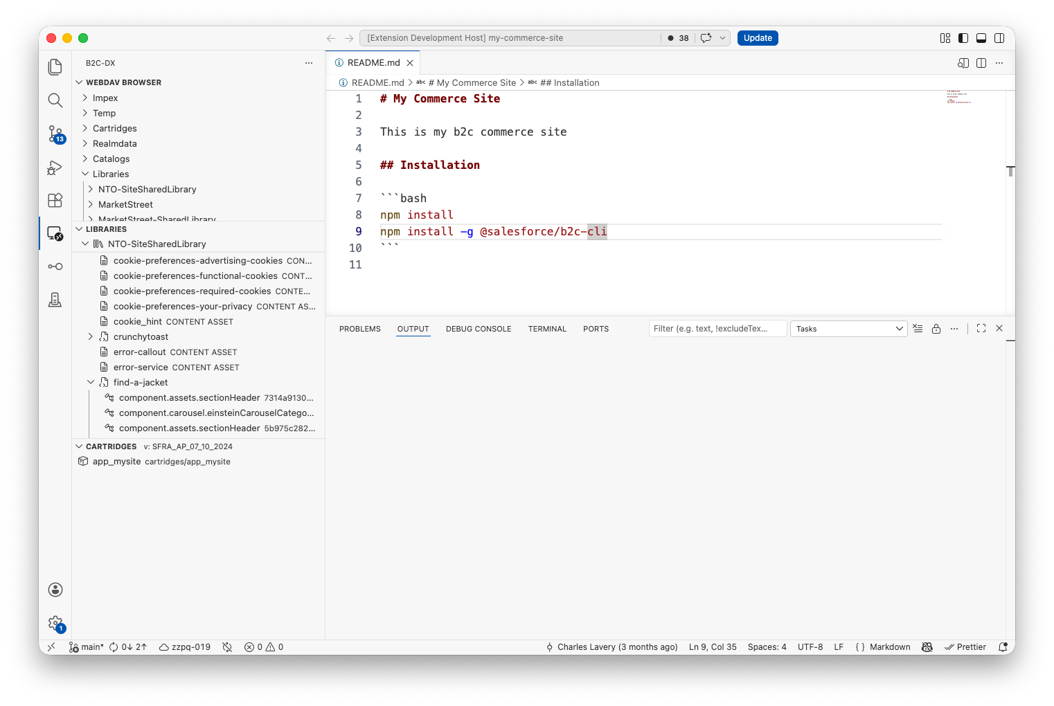 Salesforce B2C Commerce activity bar showing the extension's developer tools