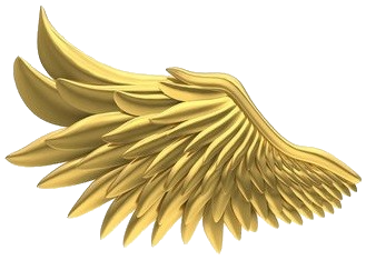 Left wing of Angel