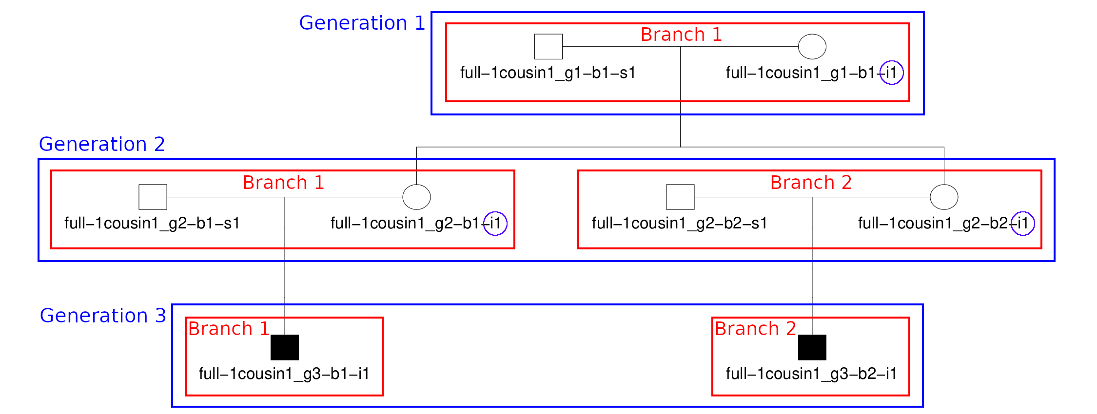 Pedigree plot of full-1cousin