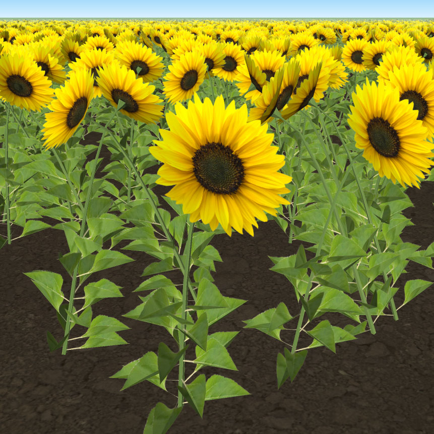 REG Plugin Sunflowers Demo