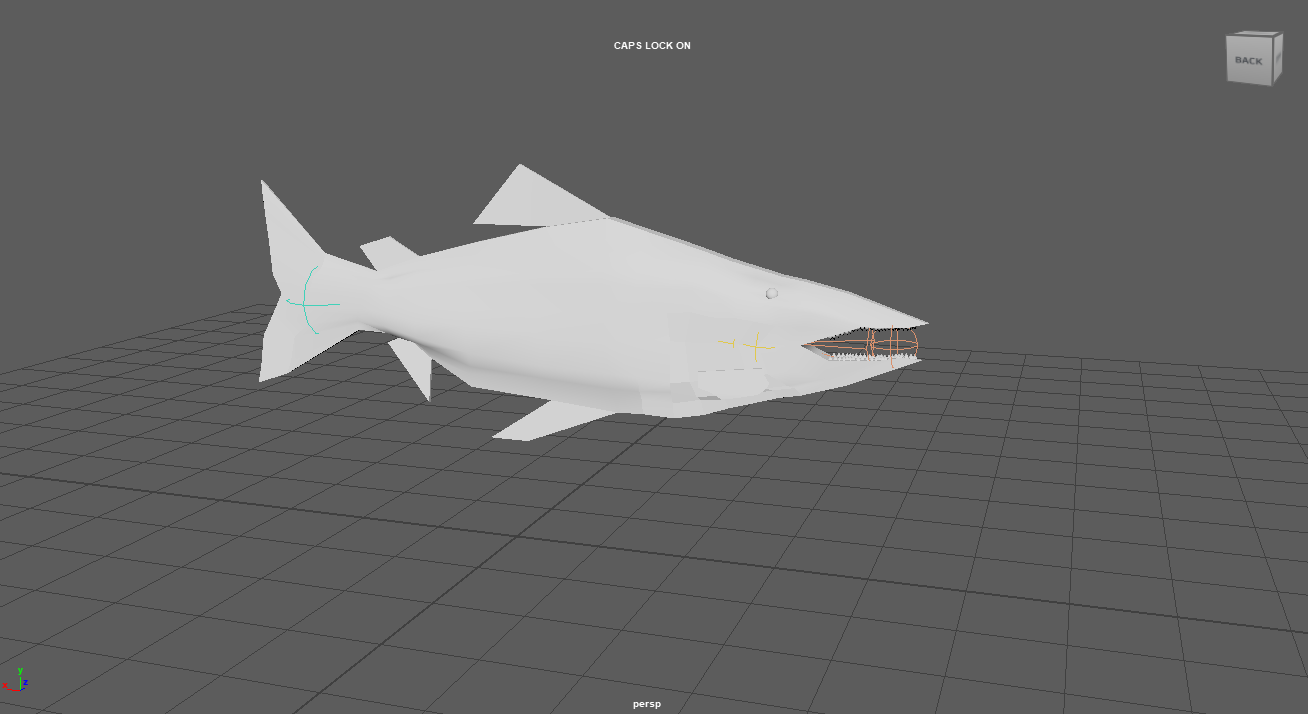 Fishpicture1