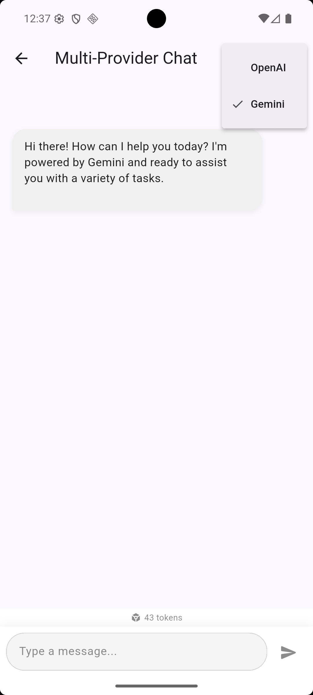 Multi-Provider Support