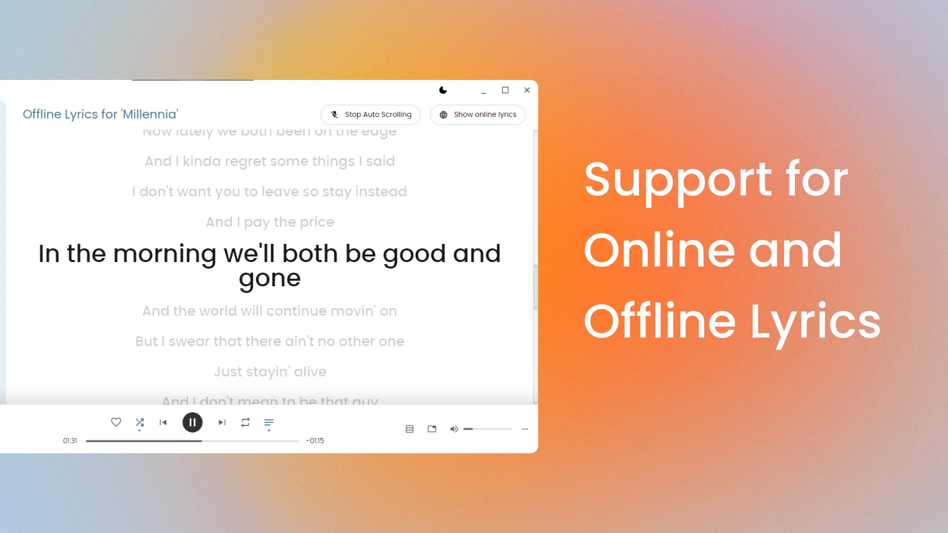 Support for Online and Offline Lyrics