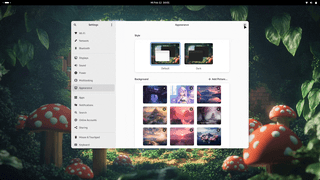Desktop showcase capture