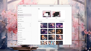 Desktop showcase capture