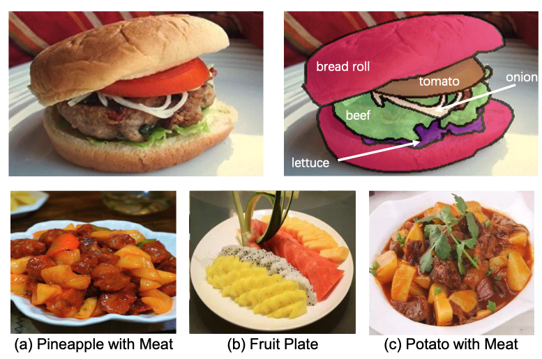 第一行显示了数据集中的一张图片与它的掩码。第二行展示了识别的难点。
