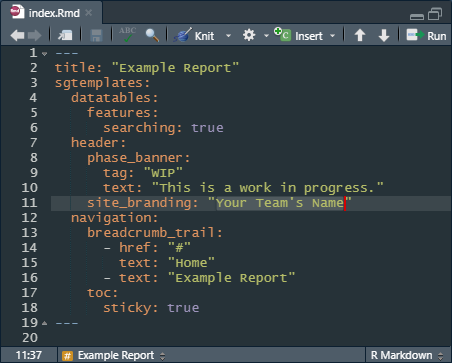 Screenshot of an R markdown document in RStudio, showing some custom YAML arguments