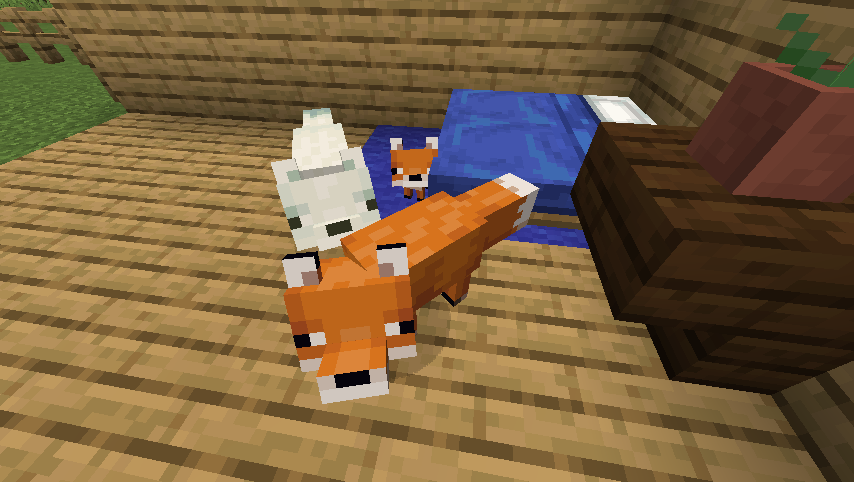 foxes with baby looking at player