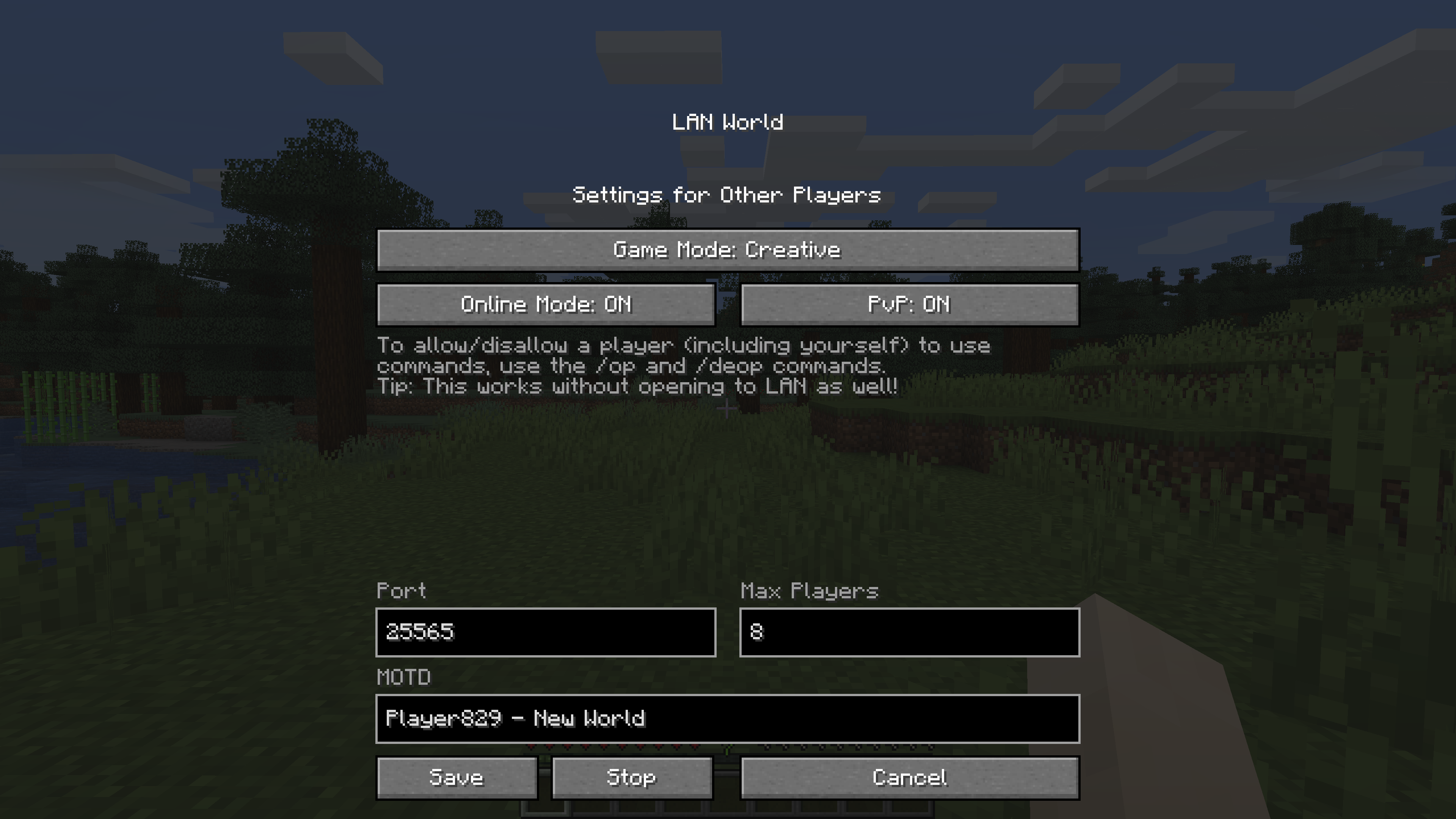 Screenshot of Custom LAN