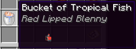 tropical_fish_bucket