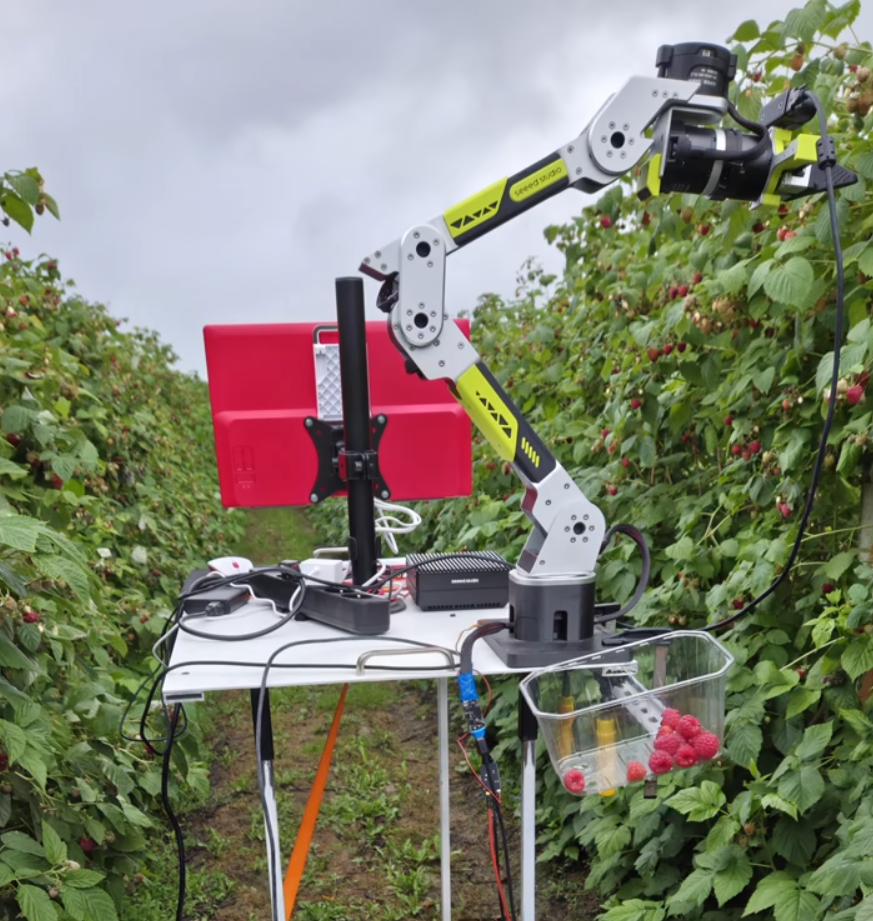 Kamil Buczyński Full Stack Robotics Lab