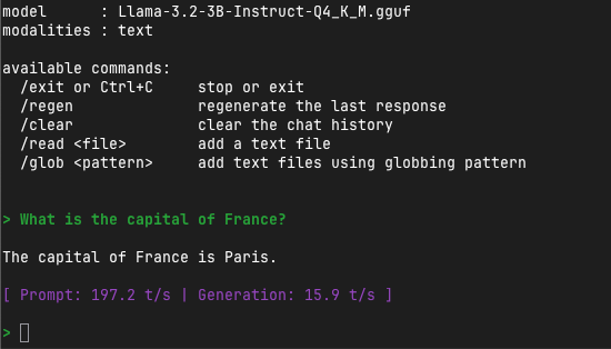 llamacpp_test