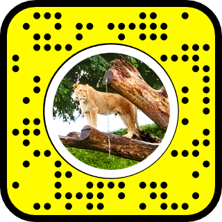 Snapcode VHS Cam