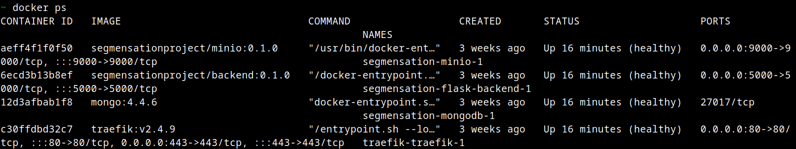 container running in Docker Desktop