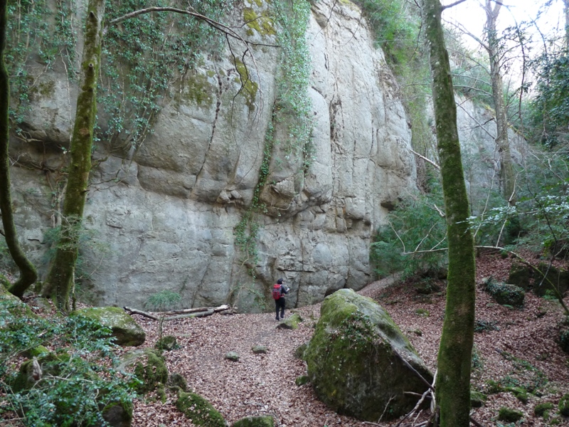 De Sant Quirze de Besora a La Farga de Bebié pel castell de Besora (100 Cims) i els Bufadors de Beví