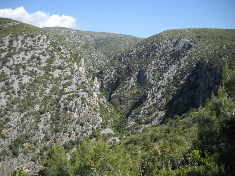 Foto 3