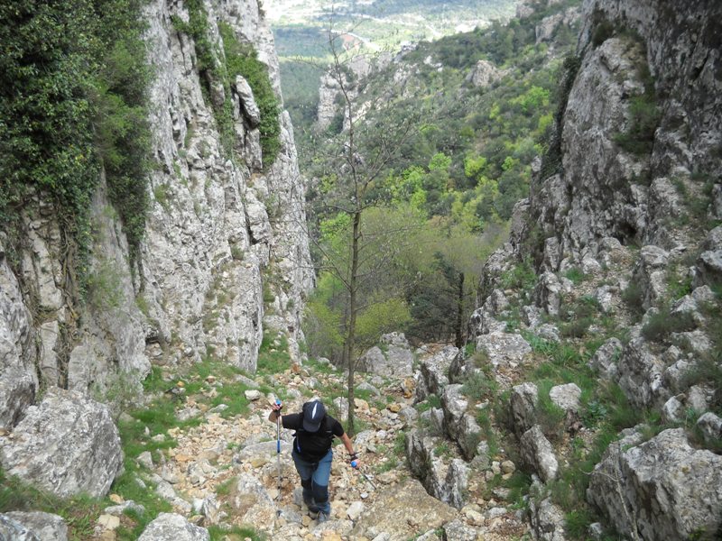 Foto 3